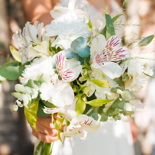 White Bouquet